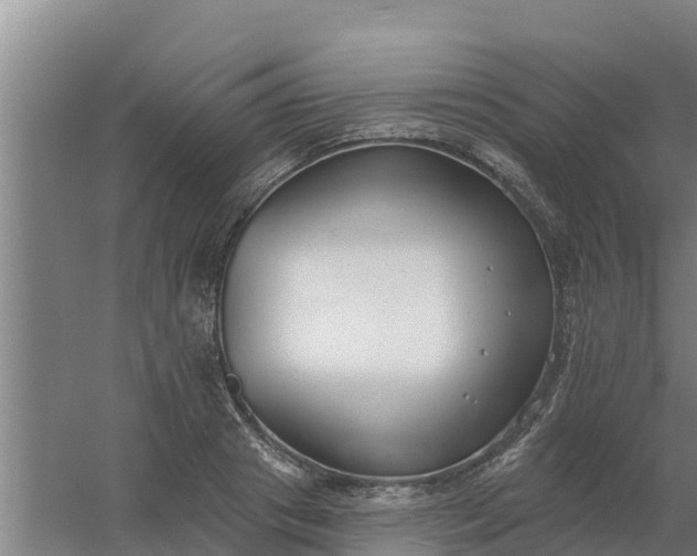 X0000059820841200511041717