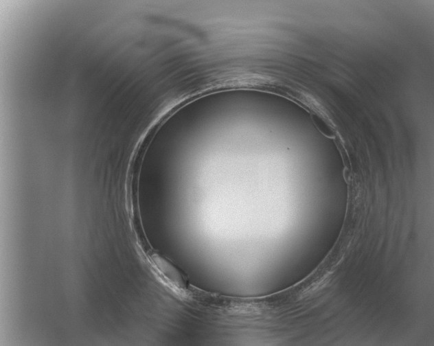 X0000059820843200511041717