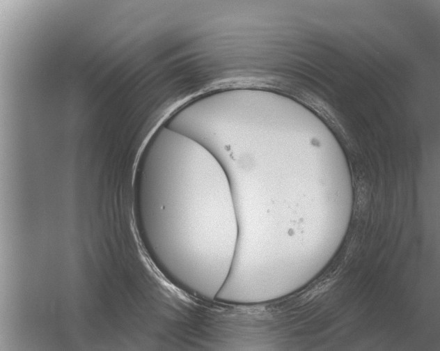 X0000059820844200511041717