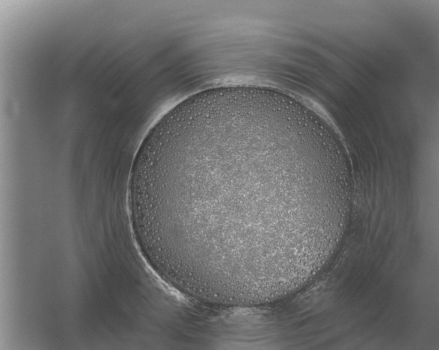 X0000059820847200511041718