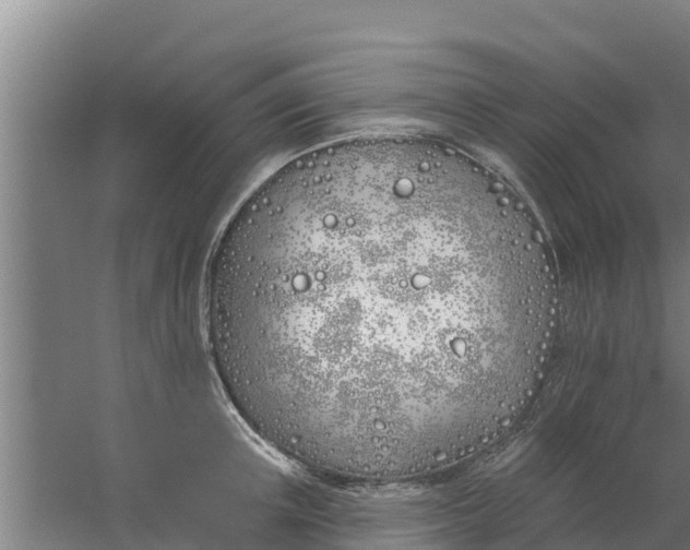 X0000059820851200511041718