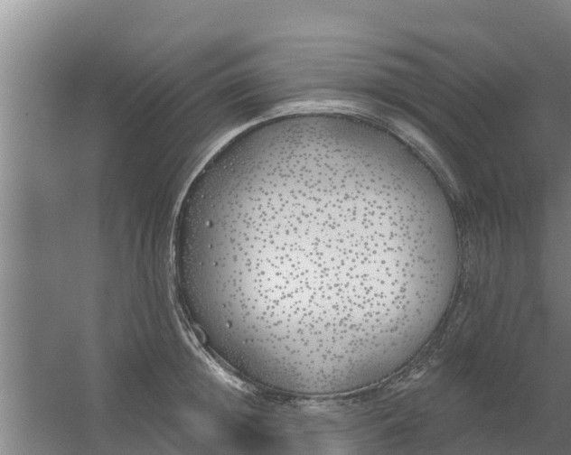 X0000059820852200511041718