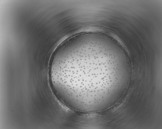 X0000059820853200511041718