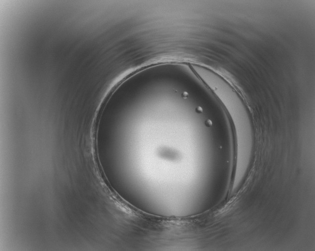 X0000059820854200511041718