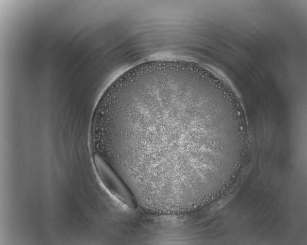 X0000059820855200511041718