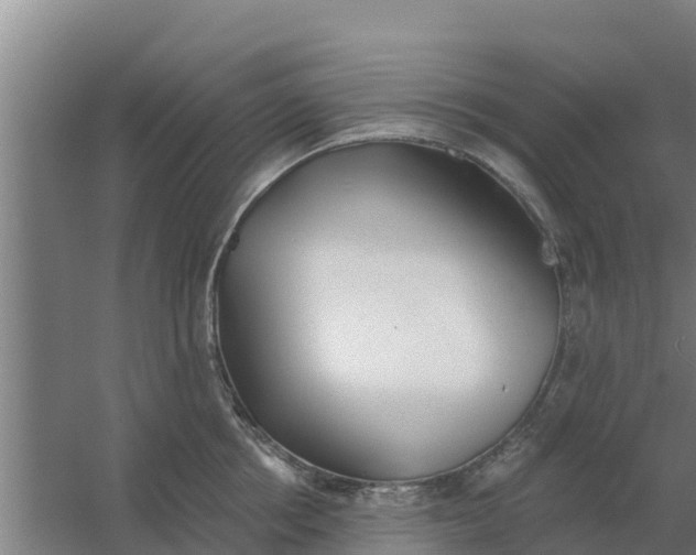 X0000059820858200511041718