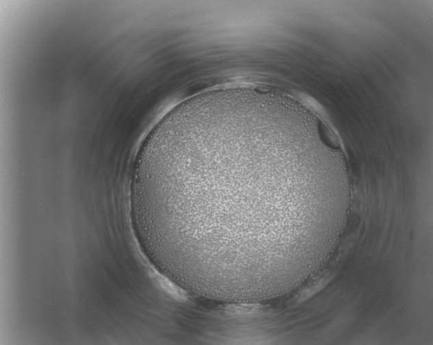 X0000059820859200511041718