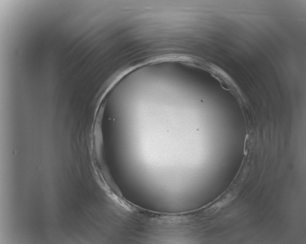 X0000059820860200511041718