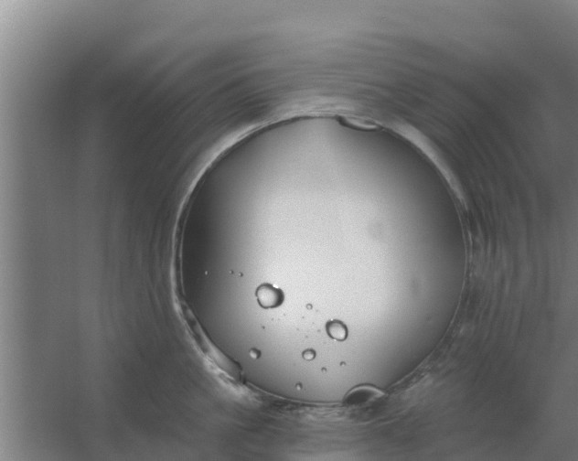 X0000059820861200511041718