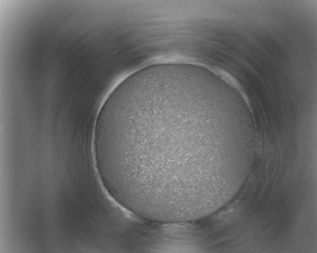 X0000059820863200511041718