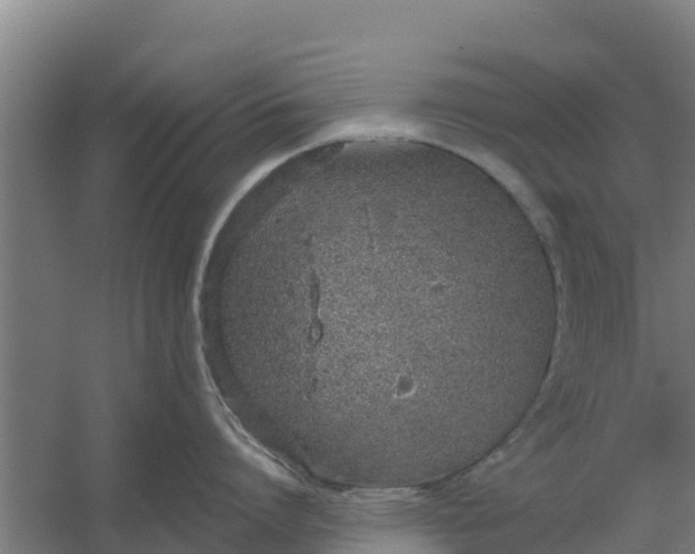 X0000059820864200511041718