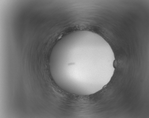 X0000059820865200511041717