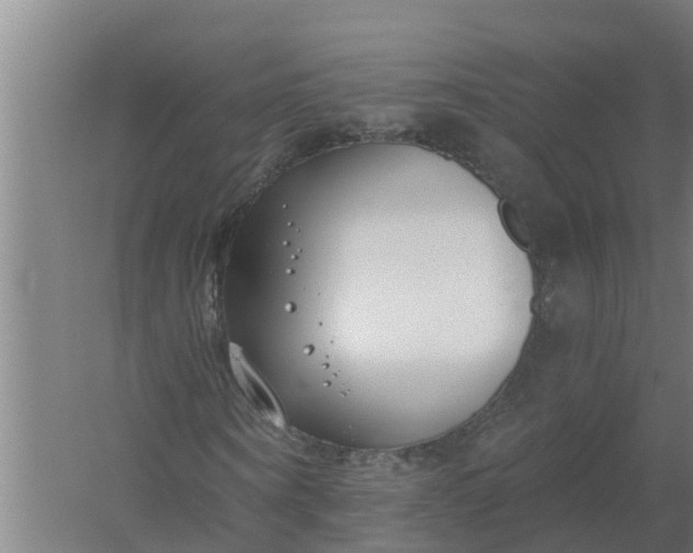 X0000059820866200511041717