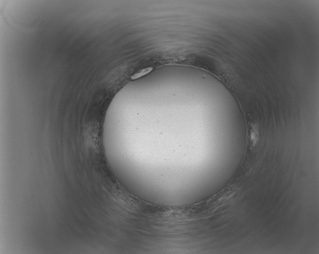 X0000059820867200511041717