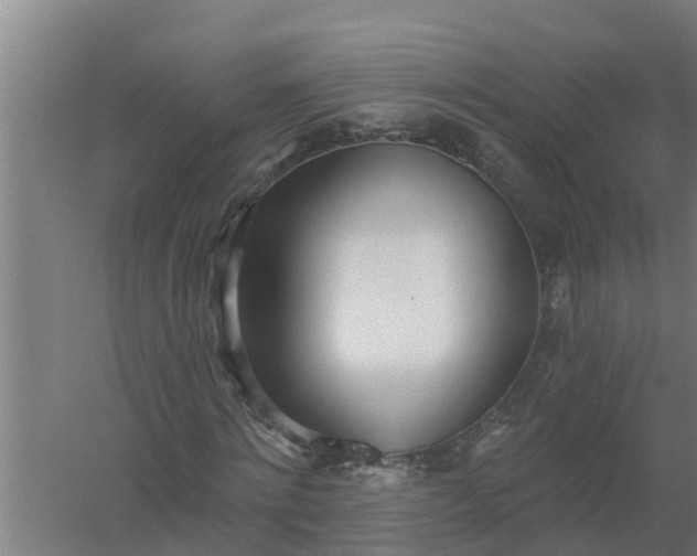 X0000059820868200511041717