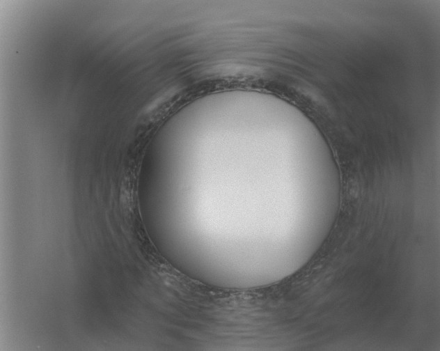 X0000059820869200511041717