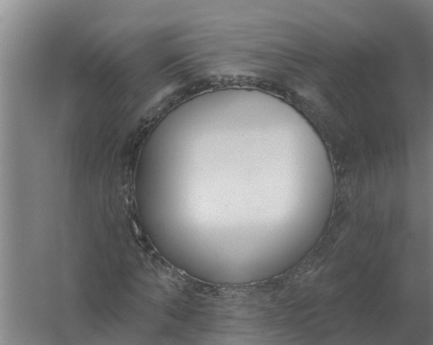 X0000059820870200511041717