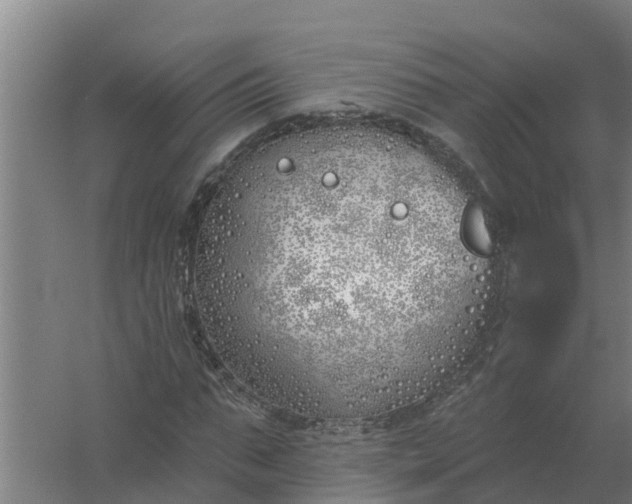 X0000059820871200511041717