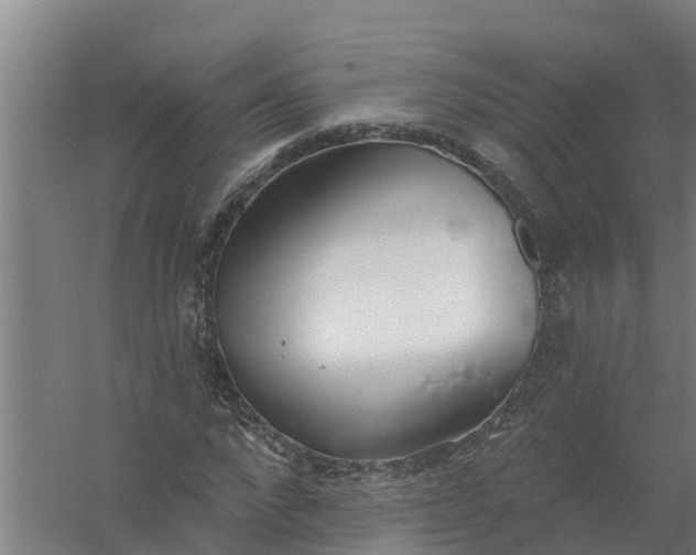 X0000059820872200511041717