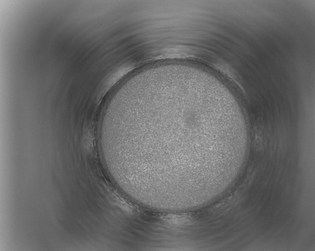 X0000059820874200511041717