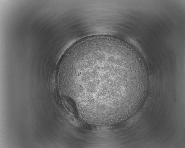 X0000059820875200511041717