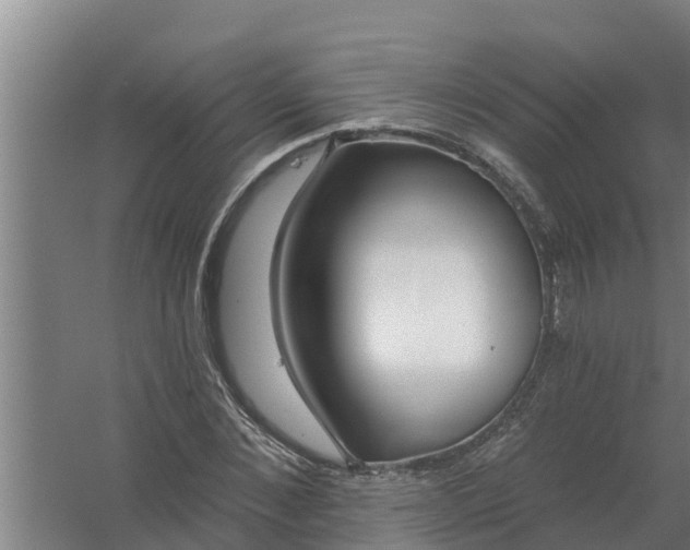 X0000059820876200511041717