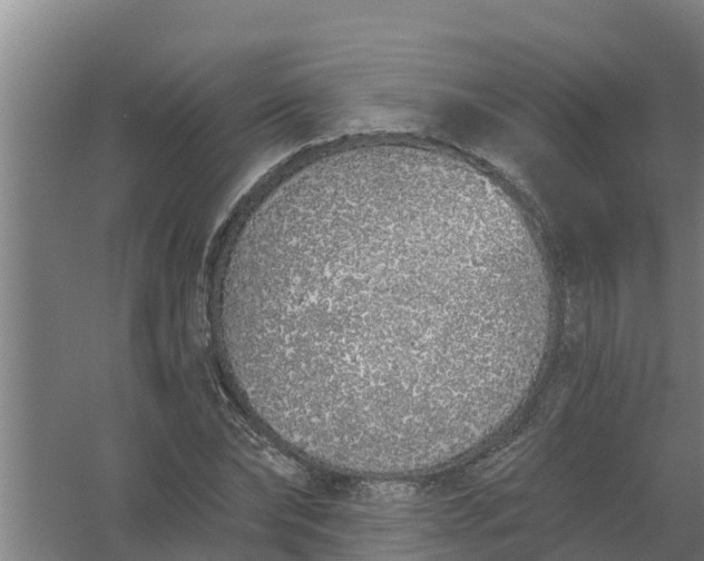 X0000059820878200511041717