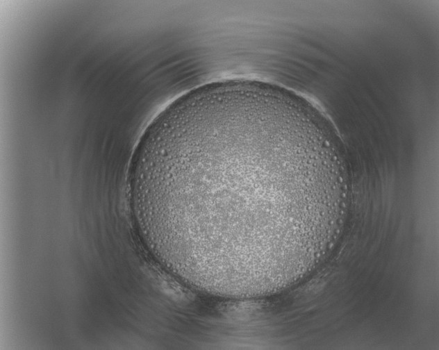 X0000059820879200511041717