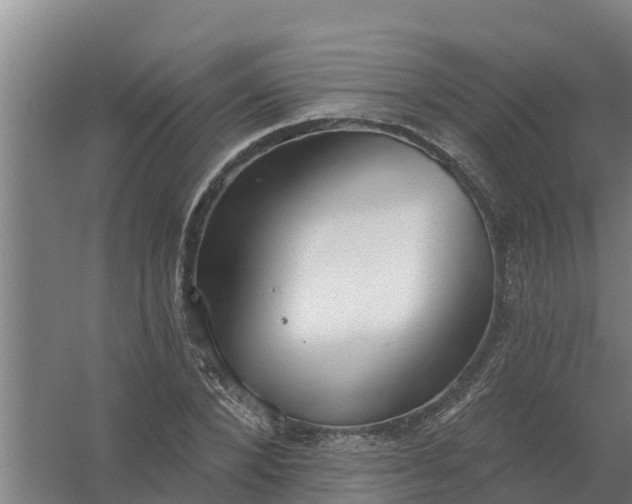 X0000059820880200511041717