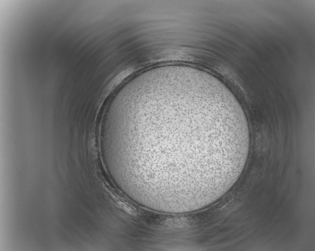 X0000059820882200511041717