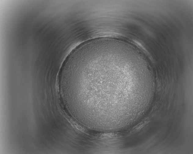 X0000059820883200511041717