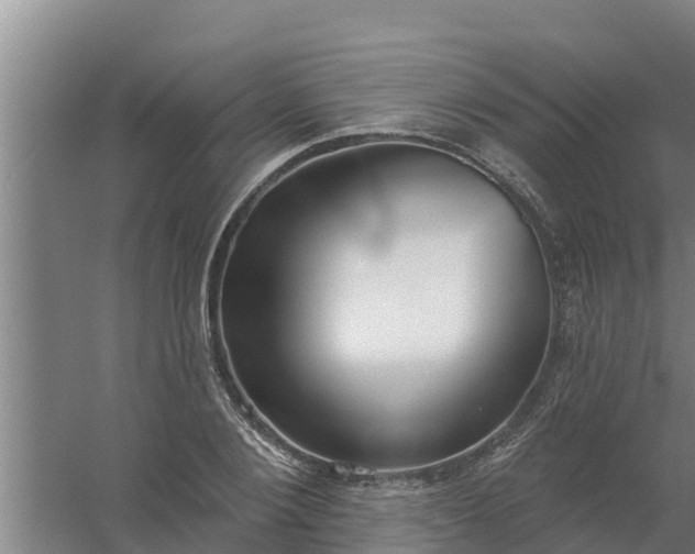 X0000059820884200511041717