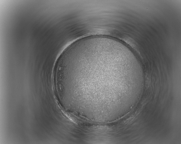 X0000059820886200511041717