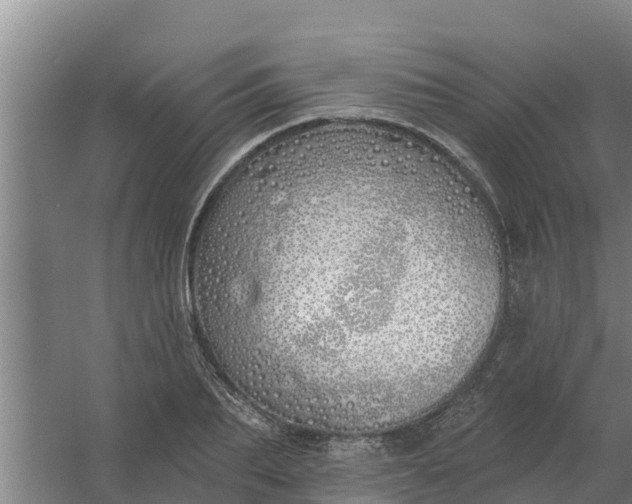 X0000059820887200511041717