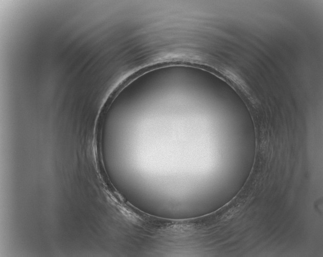 X0000059820888200511041717