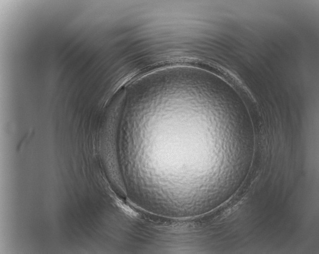 X0000059820889200511041717