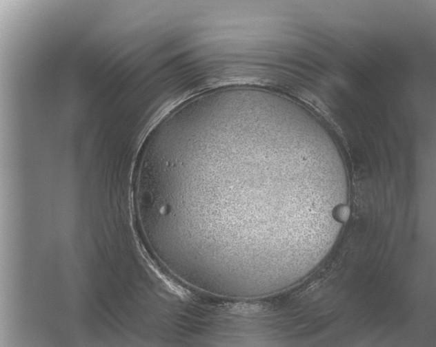 X0000059820890200511041717