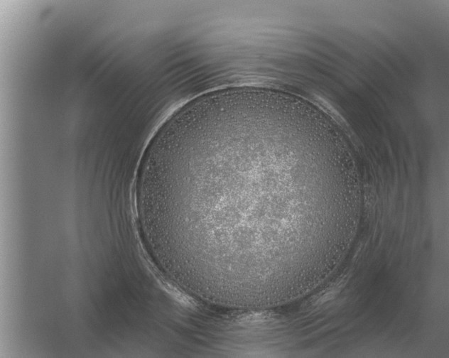 X0000059820891200511041717