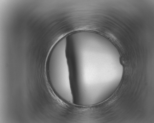 X0000059820892200511041717