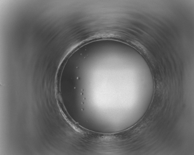 X0000059820894200511041716