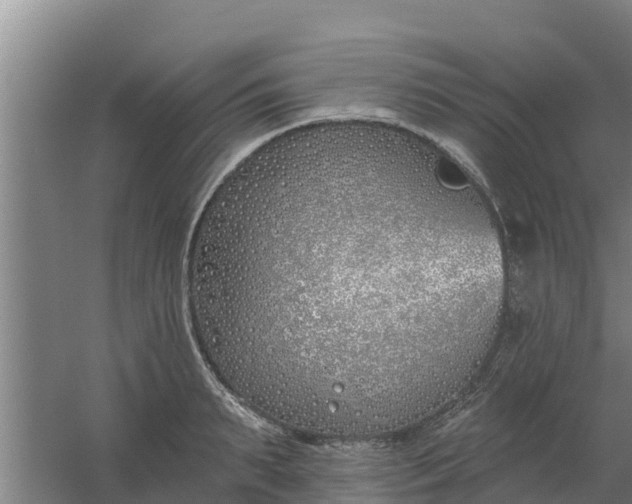 X0000059820895200511041716