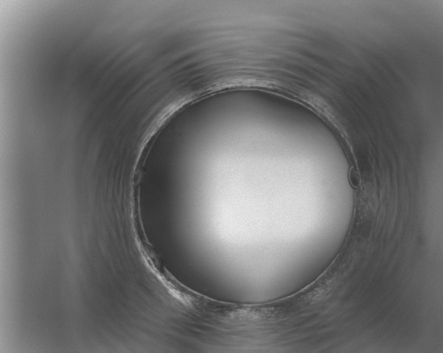 X0000059820898200511041716