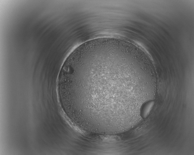 X0000059820899200511041716