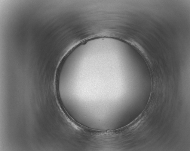 X0000059820902200511041716