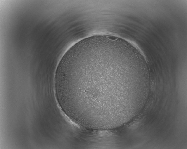 X0000059820903200511041716