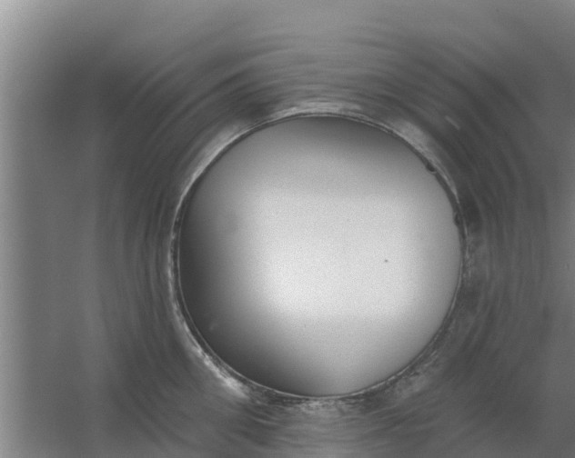 X0000059820906200511041716