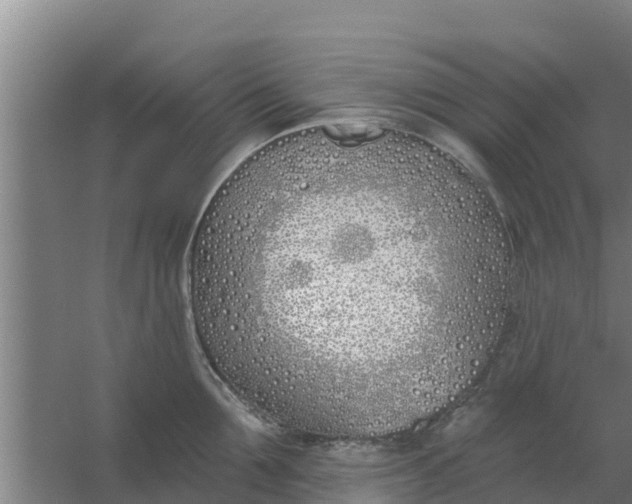 X0000059820907200511041716