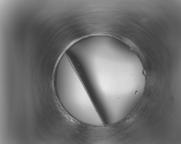 X0000059820908200511041716