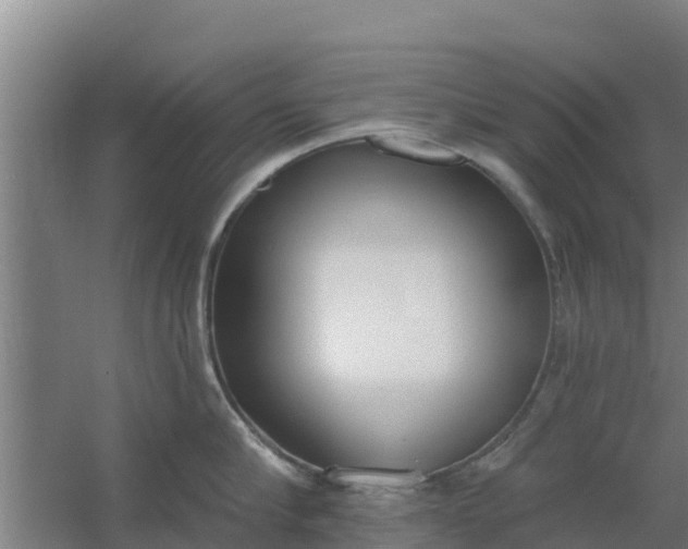 X0000059820910200511041716