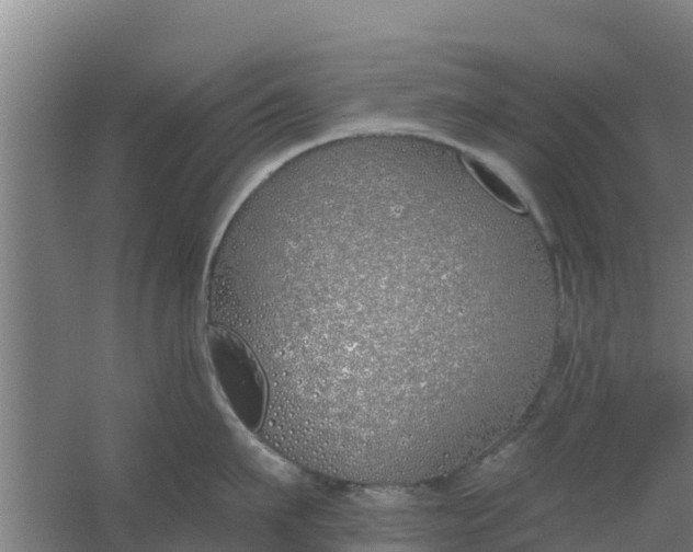 X0000059820911200511041716